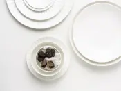 Fine2Dine Bloom Vegan Bone China Tableware