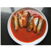 Konserwowany pilchard w sosie pomidorowym