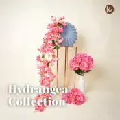 Bloom with Grace Hydrangea Collection