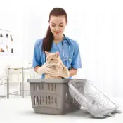 Pet Plastic Carriers for Travel