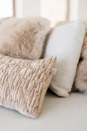 Dutch Decor Cushions and Plaids