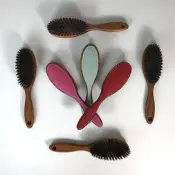 Hairbrush Grooming Tool
