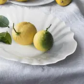 Millenium Porcelain Collection