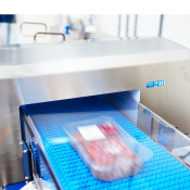 CEIA Metal Detector