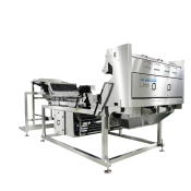 AI 4-chute High-Speed Belt Color Sorter