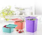 Alaska No-Frost Storage Boxes