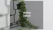 Essen Artificial Plants Home Decor