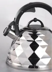 Stainless Steel Kettle