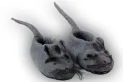 Felt Shoes and Slippers