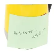 Standard Sticky Note/post It