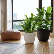 Madera Pot Collection