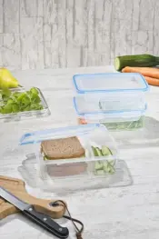 Safe-Box Storage Container