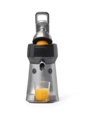 Espressions Citrus Juicer