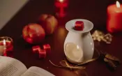 Wax Melts Product