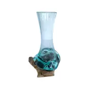 Root with Glass Vase