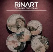 Porcelain Dinner Set