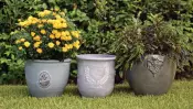 Terra Cotta Planters