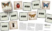 Memo Games Educational Cards