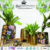 Indoor Decor Collection