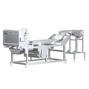 AI 2-chute High-Speed Belt Color Sorter