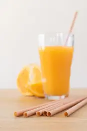 Back to Nature 24hr Wooden Straws