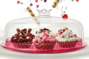 Cosmoplast Cake and Cheese Covers