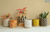 Traveler Planter Collection