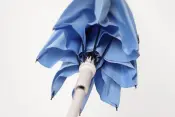 Shupatto Umbrella Product