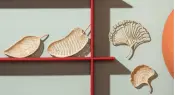 Rattan Trays Collection