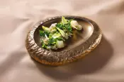Maastricht Porselein Tableware