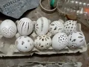 Hand Carved Original Egg Shells