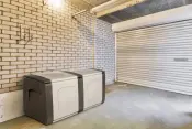 Regular Plastic Trunk