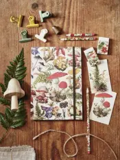 Notebook and Pen Collection
