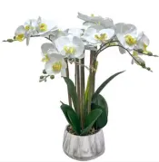 Artificial Real Touch Orchid Plant