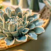 Powder Blue Aphrodite Dahlia Ceramic Wallflower