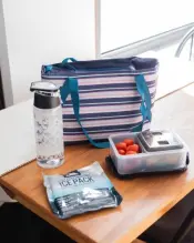 Arctic Zone Commuter Tote Cooler