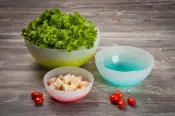 Crystal Way Recycled Plastic Bowls
