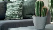 ARECO Planter Collection
