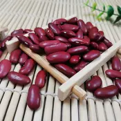 Kacang ginjal, Adzuki, Mung dan kacang soya