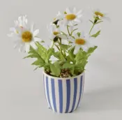 Daisy in Stripe Ceramic Pot