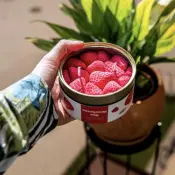 CandleCan Gourmet Food Candles