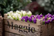 Maggie Art ดอกไม้ประดิษฐ์ตกแต่ง