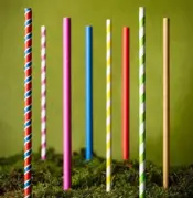 Eco Friendly Straws