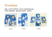 Paper Mailing Envelopes
