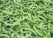 Kacang edamame beku