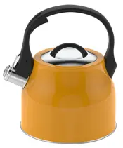 Stainless Steel Kettle