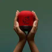 Ladybug's Luck Giftware