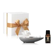 Ripples of Fragrance Collection