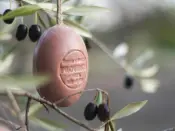 Soap on a Rope