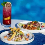 Dalebrook Poolside Melamine Tableware